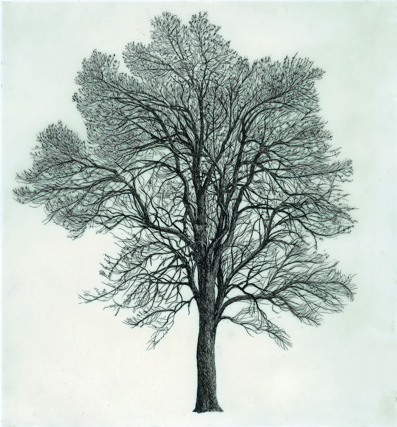 Nous Les Arbres La Nouvelle Exposition De La Fondation Cartier Geo