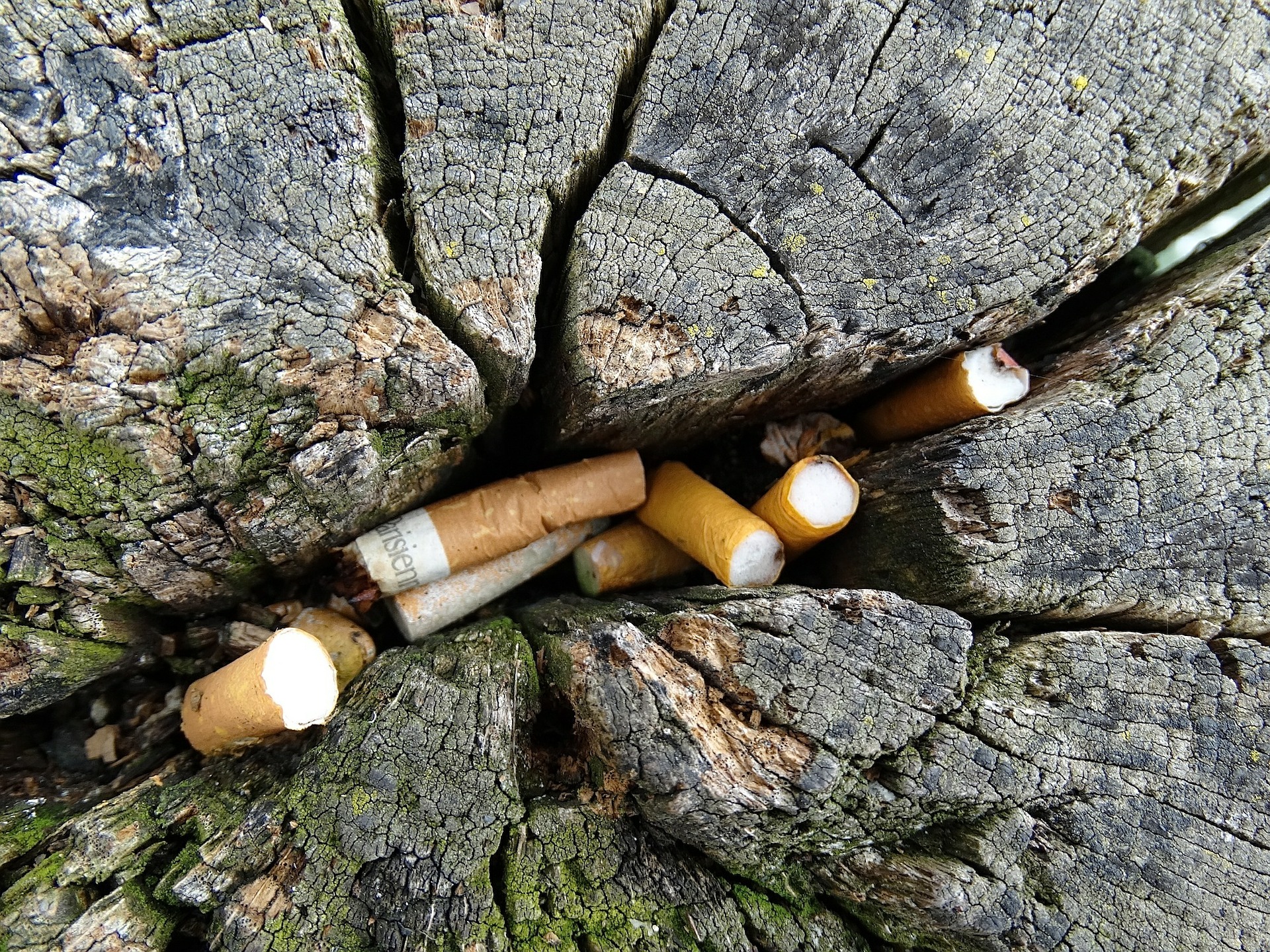 Combien De Temps Un Megot Se Degrader 10 chiffres sur le mégot de cigarette, cet énorme pollueur - Neonmag.fr