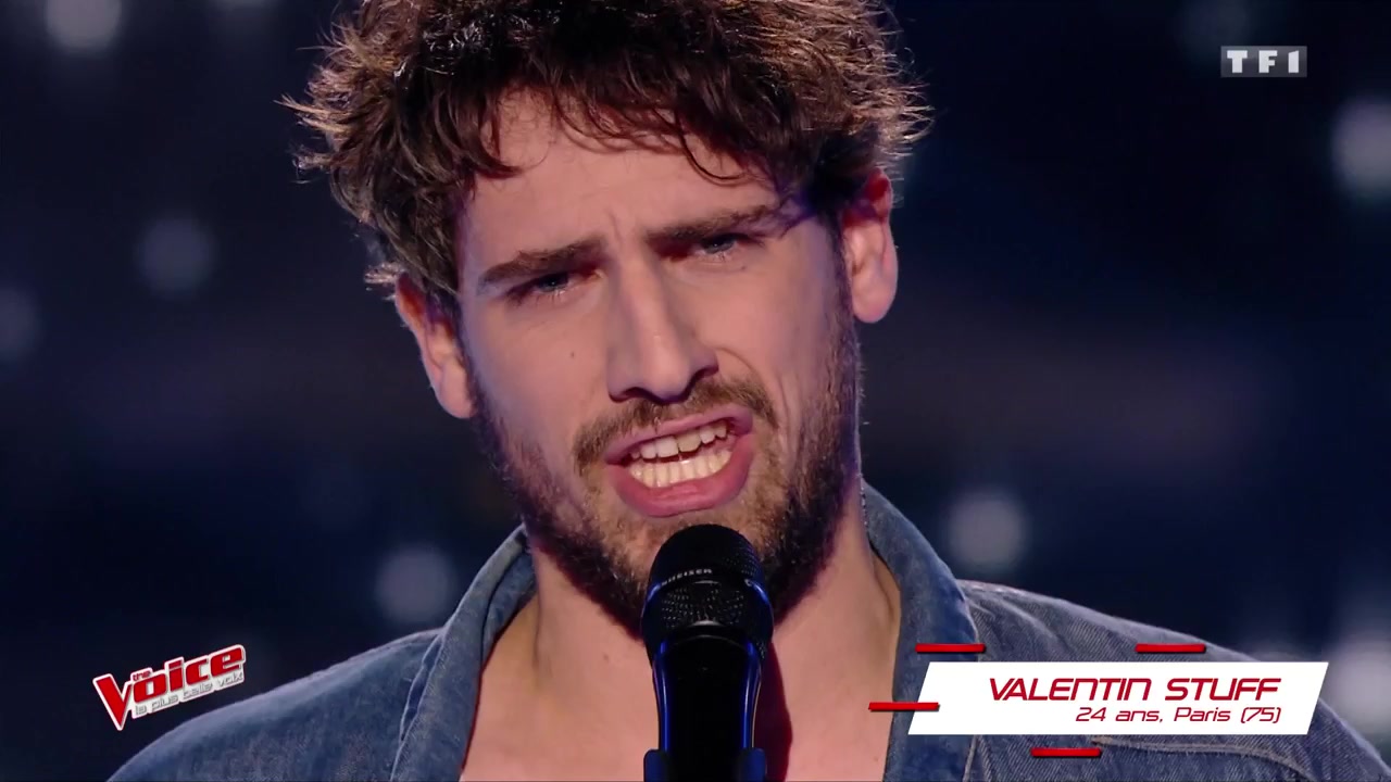 Saison 6 The Voice Equipe Florent Pagny The Voice 6 : tous les candidats équipe par équipe ! - Télé Loisirs