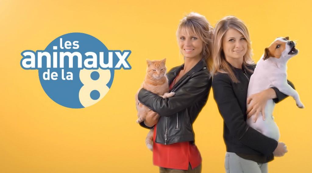 Les Animaux De La 8 - A La Découverte D'animaux Surprenants En Loire ...