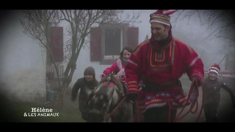 rencontre avec des animaux
