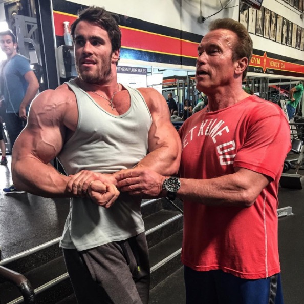 Voici Calum Von Moger, le nouveau Arnold Schwarzenegger du bodybuilding et  du cinéma - Télé Loisirs