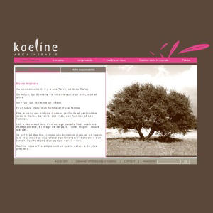 Un nouveau site internet pour Kaeline