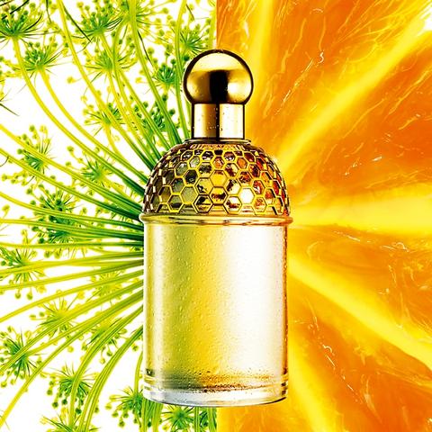 Guerlain présente ses Aqua Allegoria Saison 2007