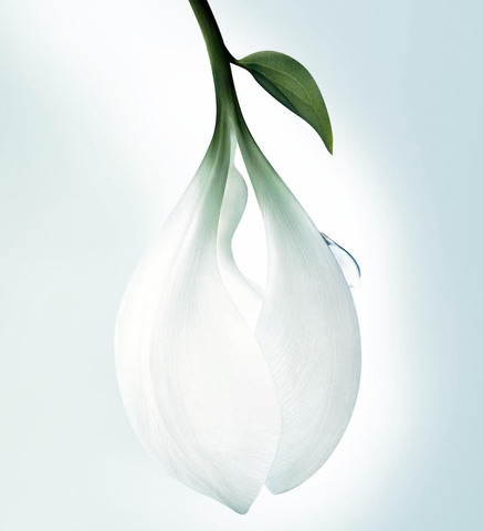 L'Eau d'Issey Pure se fait eau de toilette pour le printemps